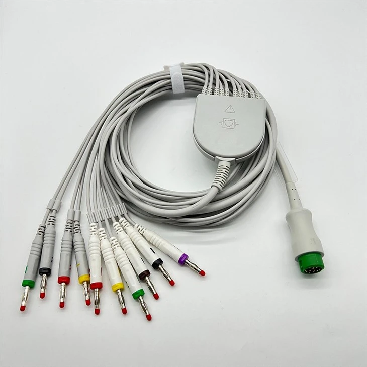 BIOCAR Compatible 12-Pin 10-Lead ECG/EKG Cable best